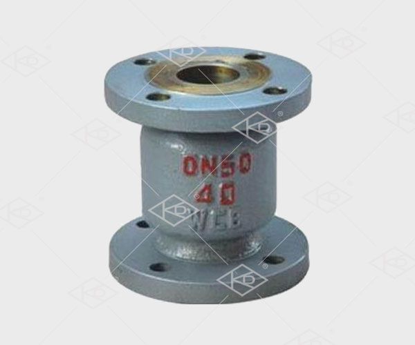 H42W vertical check valve