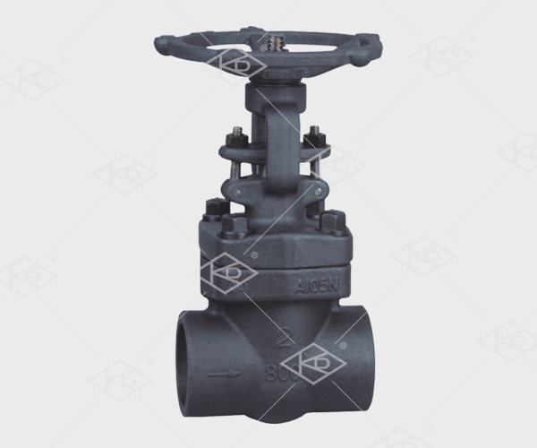 Forged Steel Gate Valve