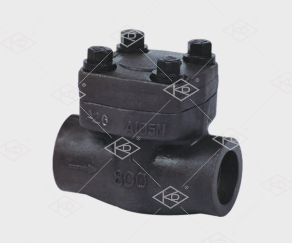 forged steel check valve